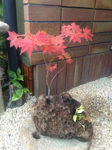 作品集・葉月園